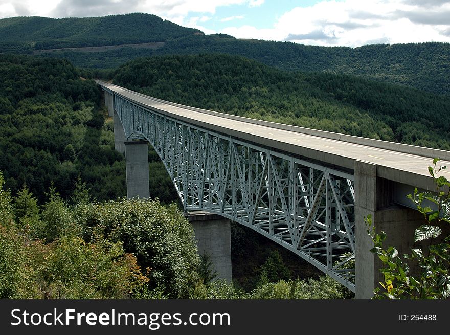 Bridge In The Forest