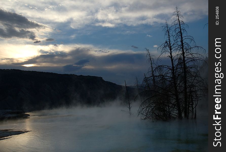 Trees in Mammoth Hot Springs mist at dawn - Yellowstone National Park, Wyoming. Trees in Mammoth Hot Springs mist at dawn - Yellowstone National Park, Wyoming