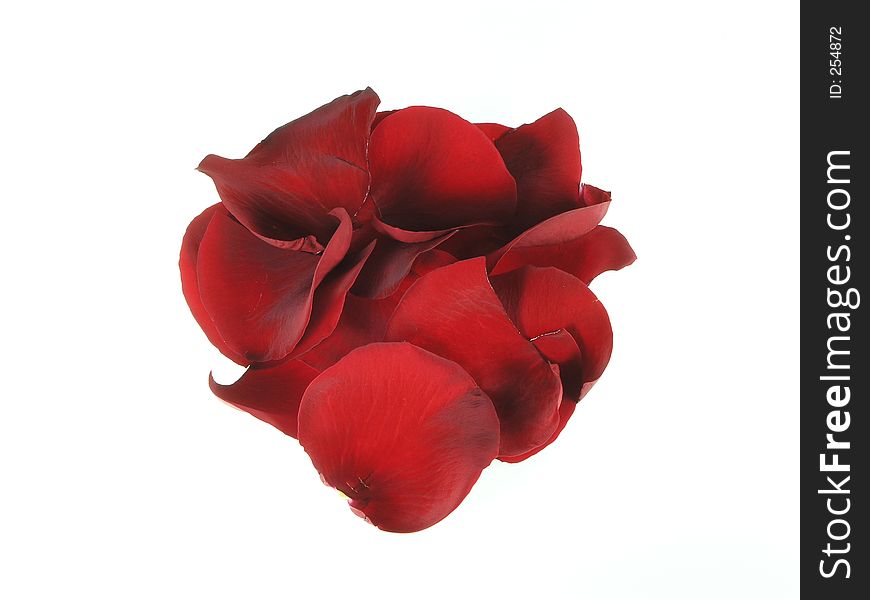 Clump of deep red rose petals isolated over white. Clump of deep red rose petals isolated over white