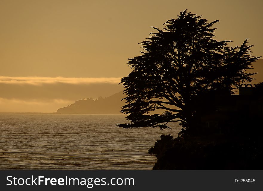 Sunset, shell beach