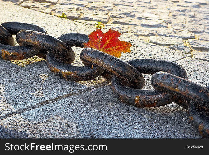 Beauty of fading autumn and rusty chain