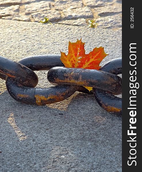 Beauty of fading autumn and rusty chain