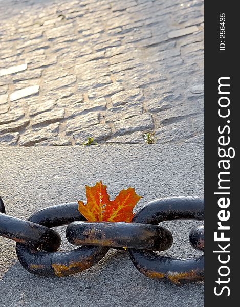 Beauty of fading autumn and rusty chain