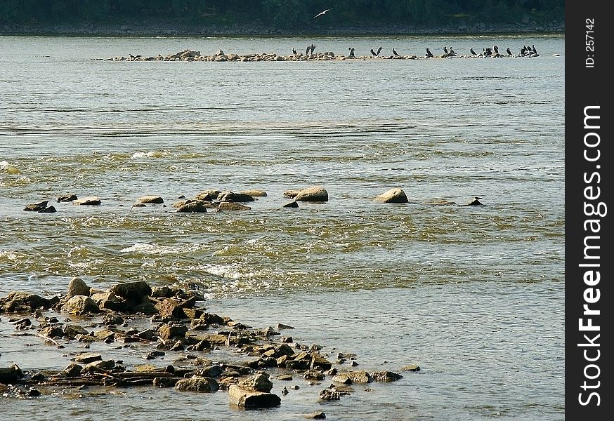 Water flowing around rocks. Birds on rocks. Water flowing around rocks. Birds on rocks.