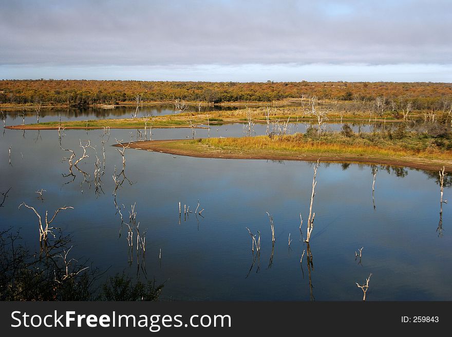 Lake with dead trees