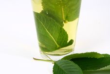 Ice Green Tea Royalty Free Stock Photo Ice Green Tea Royalty Free Stock Photo