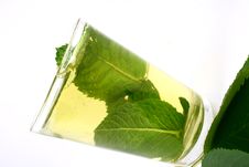 Ice Green Tea Stock Photo