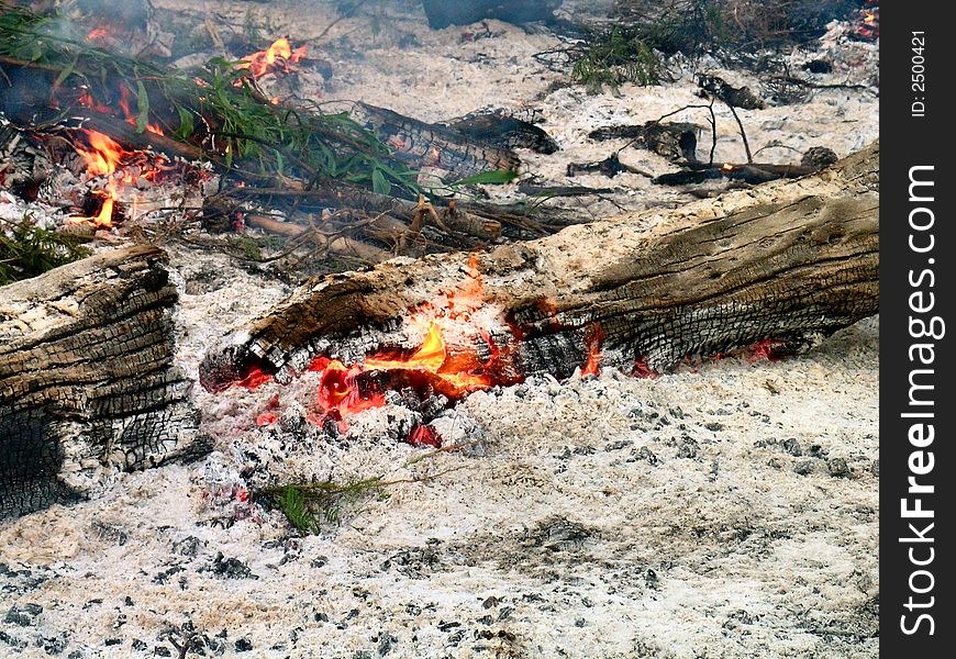The aftermath of a bush fire, with most of the vegetation burnt, and logs still smoldering. The aftermath of a bush fire, with most of the vegetation burnt, and logs still smoldering.