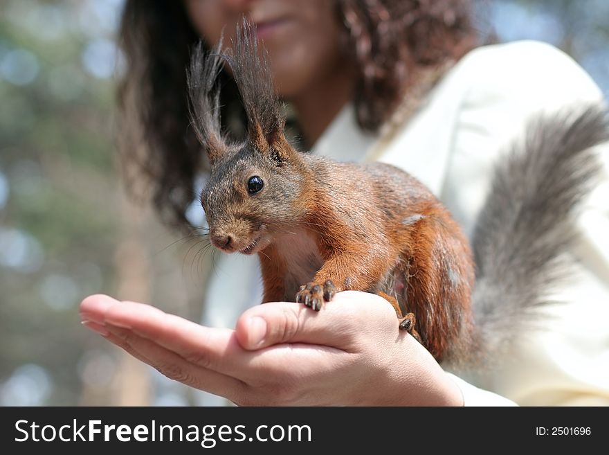 Women with squirrel on hand