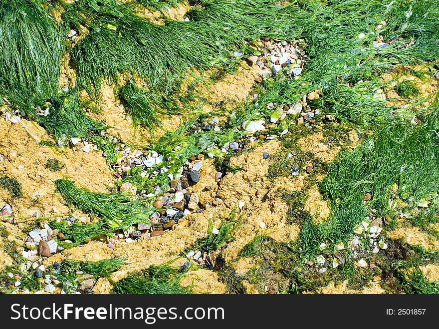 Sea stones under the sun on coast