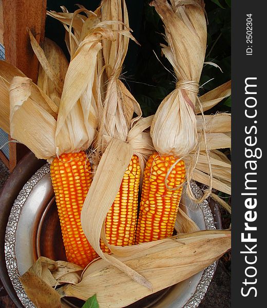 Dry corn in a pot waiting for customer to take them...