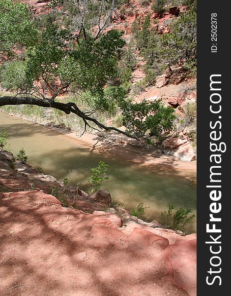 Looking down into Virgin River in Zion Park.
Red rock and green trees, vertical orientation. Looking down into Virgin River in Zion Park.
Red rock and green trees, vertical orientation.