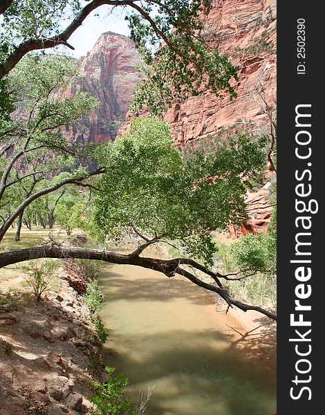 Virgin River view in Zion Park. Red rock canyon walls. Virgin River view in Zion Park. Red rock canyon walls.