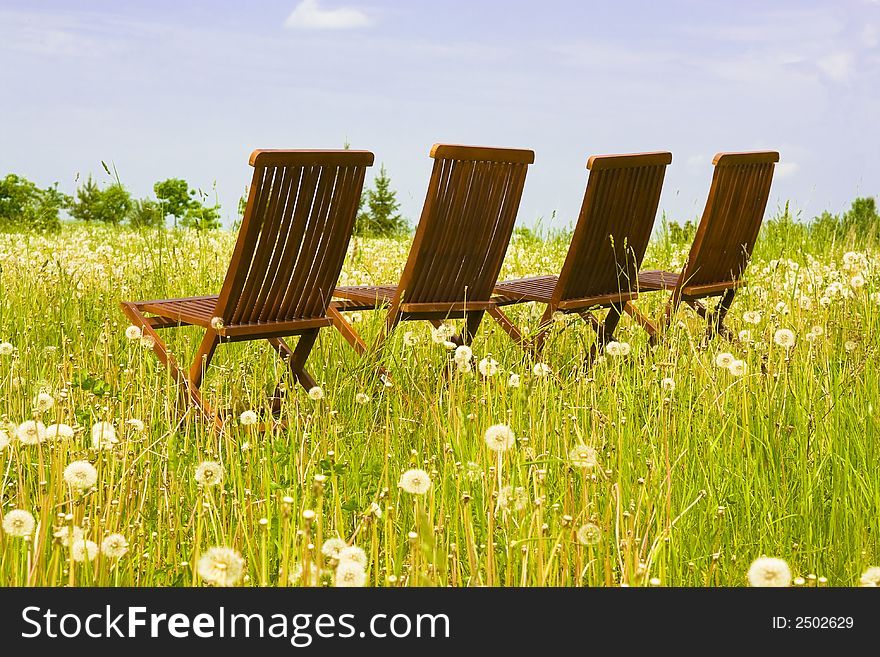 Four chairs in the grassland