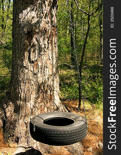 A tire swing out in the woods