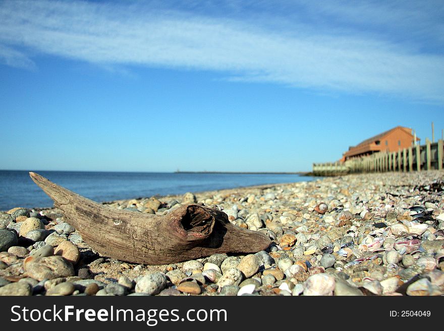 Driftwood on a montauk beach