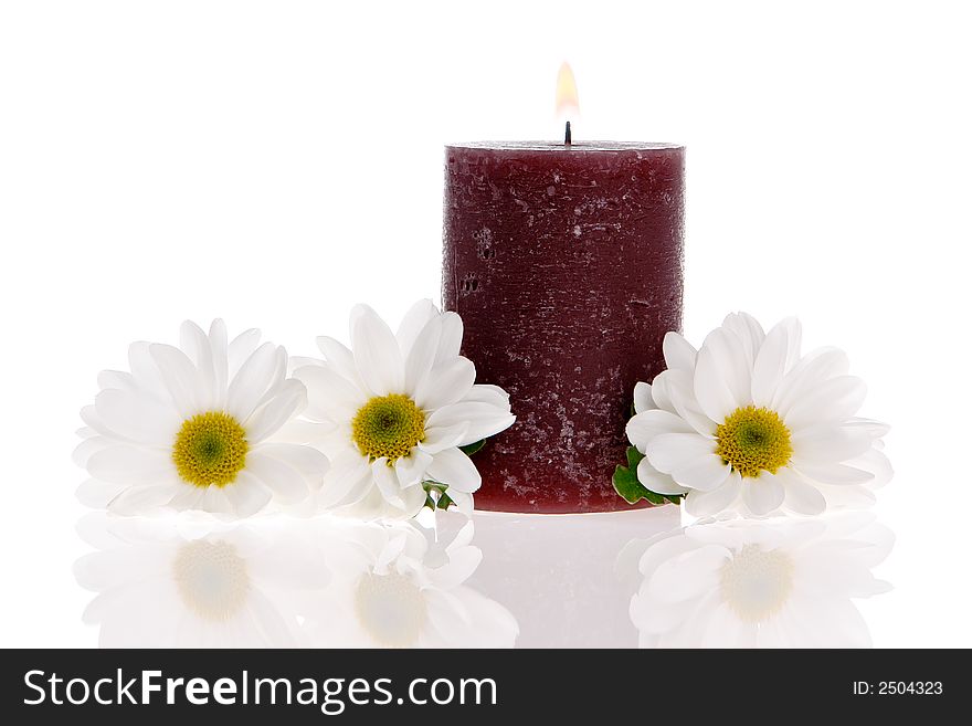 Daisies and a candle isolated. Daisies and a candle isolated