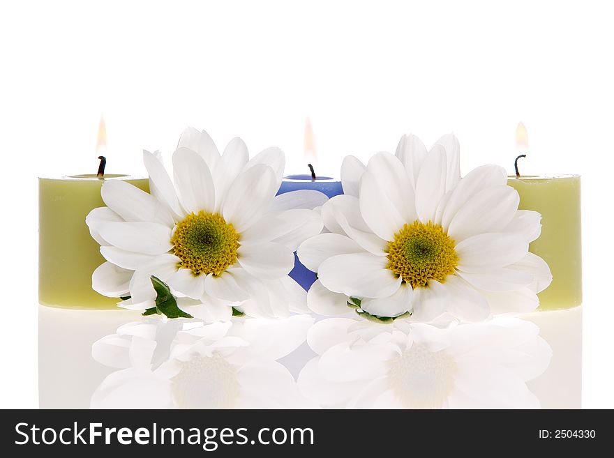 Daisies and a candles isolated. Daisies and a candles isolated