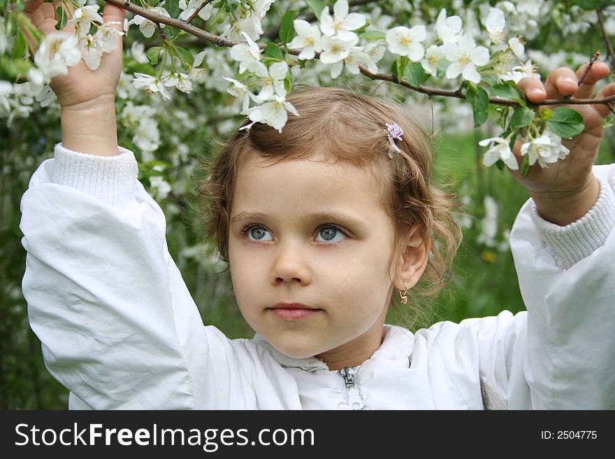 Little girl and a blossoming cherry