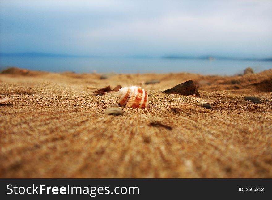 A sea shell standing on the beach, sand and sea. A sea shell standing on the beach, sand and sea