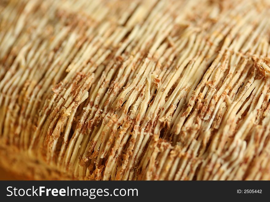 Macro of whole wheat breakfast cereal - shallow dof. Macro of whole wheat breakfast cereal - shallow dof