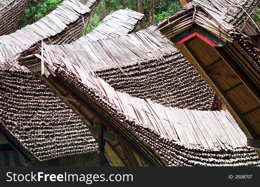 A natural roof from bamboo on toraja&#x27;s house. A natural roof from bamboo on toraja&#x27;s house.