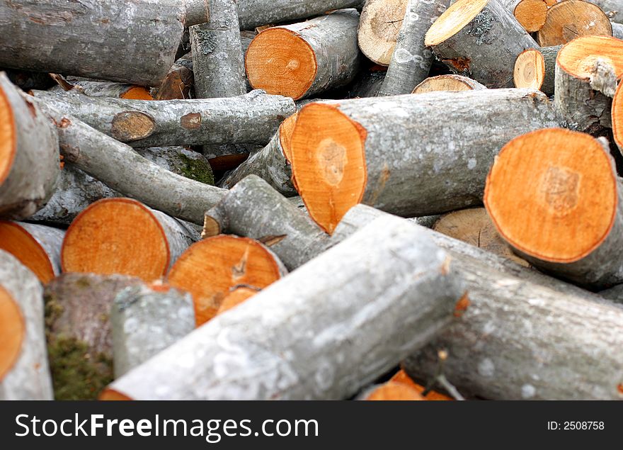 Pile of newly cut timber, rural scene. Pile of newly cut timber, rural scene