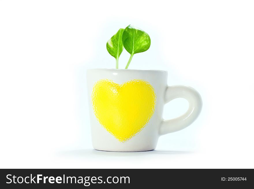 Small plants in cup of heart with white background.Save the green world.