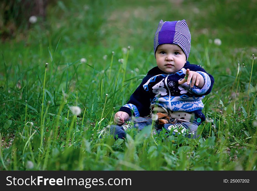 A child dressed in blue sitting in dandelions and green grass. A child dressed in blue sitting in dandelions and green grass