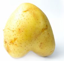Potato Isolated Upside Down Heart-shaped Stock Image