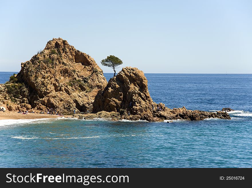 Spain. A pine on the rock at the coast Tossa de Mar. Spain. A pine on the rock at the coast Tossa de Mar
