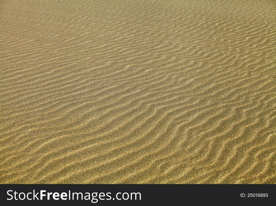 Texture of sand rippled with the wind. Texture of sand rippled with the wind