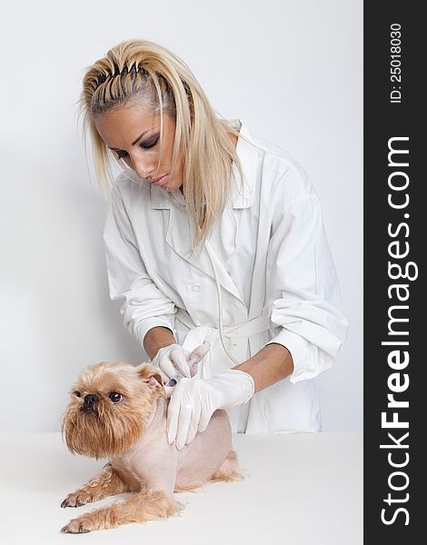 Women - veterinary doctor of doing an injection of dog