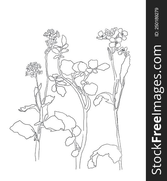 Botanical Modern Single Line Art, Aesthetic Contour. Perfect for Home Decor, Wall Art Posters, or t-shirt Print, Mobile Case. Cont