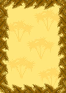 Palm Leaves Frame Stock Images