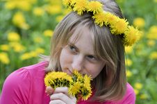 Happy Girl In The Field Of Dandelions Stock Photos Happy Girl In The Field Of Dandelions Stock Photos