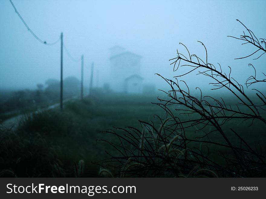 Shot of mist in  the morning at the paddies field with wallet house at background. Shot of mist in  the morning at the paddies field with wallet house at background