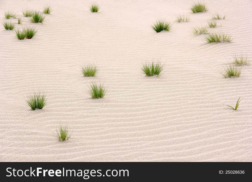 Small glass on sand background in nature
