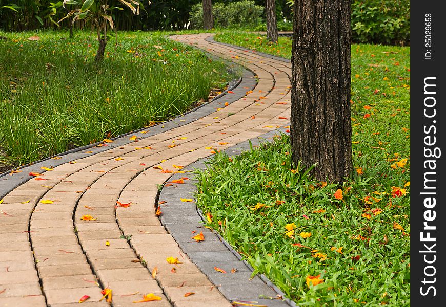 Walk path in public park in Bangkok. Walk path in public park in Bangkok