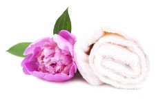 Spa Towel With Flower Royalty Free Stock Photography Spa Towel With Flower Royalty Free Stock Photography