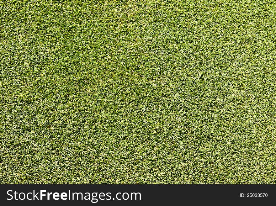 Patch of a putting green on a golf course to be used as background