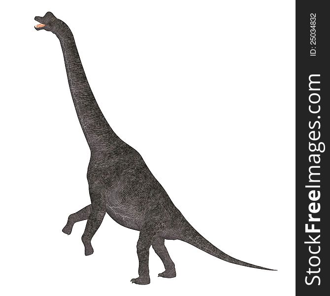 Illustration of a Brachiosaurus (dinosaur species) isolated on a white background