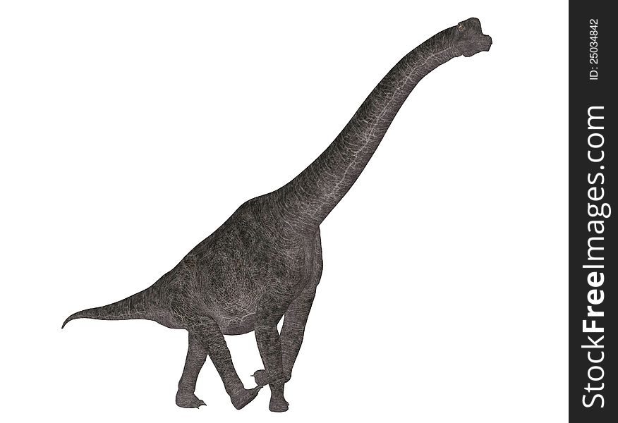 Illustration of a Brachiosaurus (dinosaur species) isolated on a white background