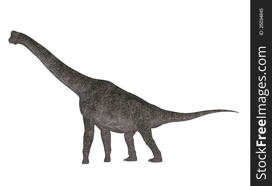 Illustration of a Brachiosaurus (dinosaur species) isolated on a white background