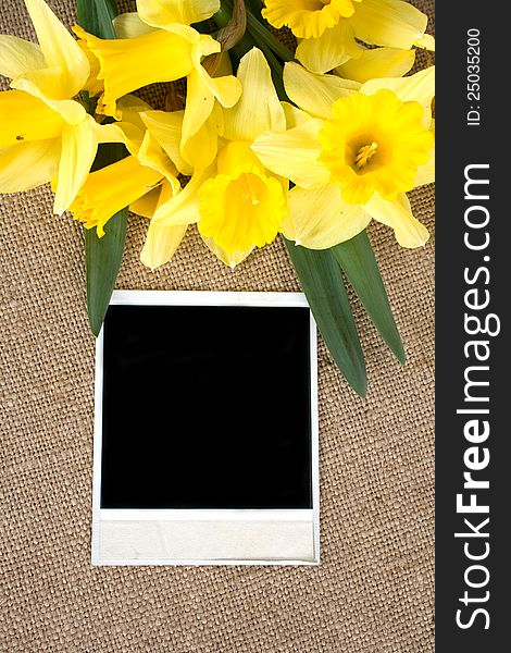 Photo frame with yellow daffodils