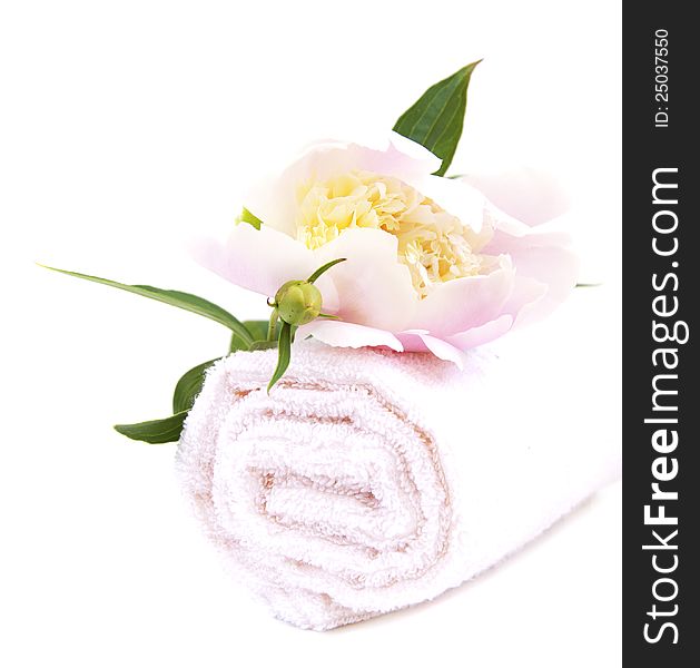 Spa towel with peony flower on a white background. Spa towel with peony flower on a white background