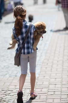 Girl Carries Her Puppy Royalty Free Stock Photo