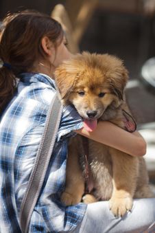 Girl Hugs Her Puppy Stock Photography Girl Hugs Her Puppy Stock Photography