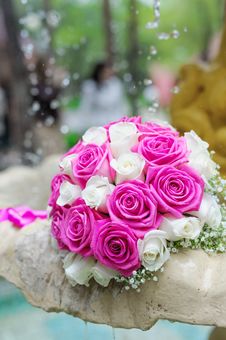 Flowers Roses Wedding Bouquet In Fountain Sprays Water Droplets Royalty Free Stock Image