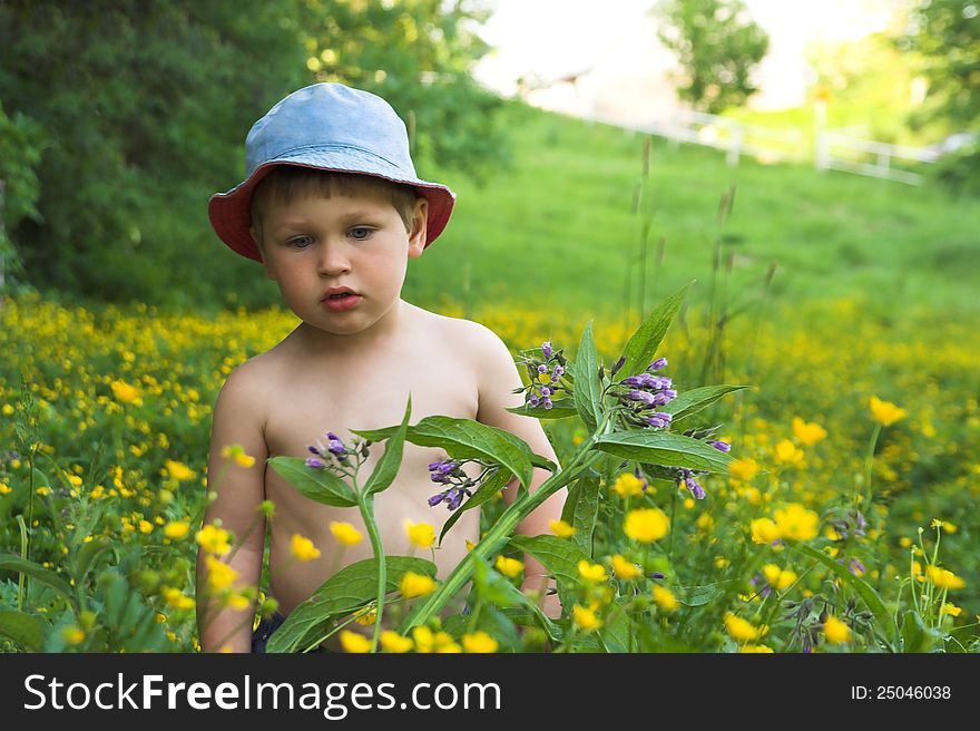 Little, white boy wearing blue cap plays between flowers of the meadow. Little, white boy wearing blue cap plays between flowers of the meadow